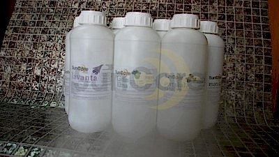 buhar-odasi-esansi-1